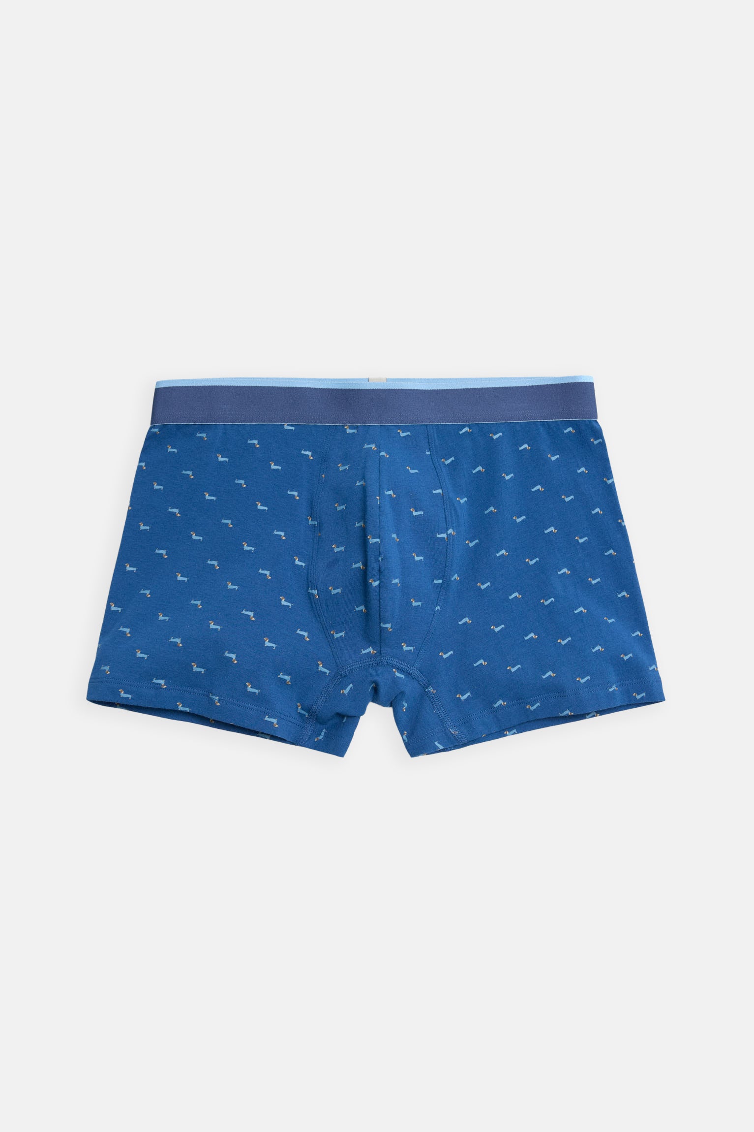 Dachshund printed boxer and sock pack