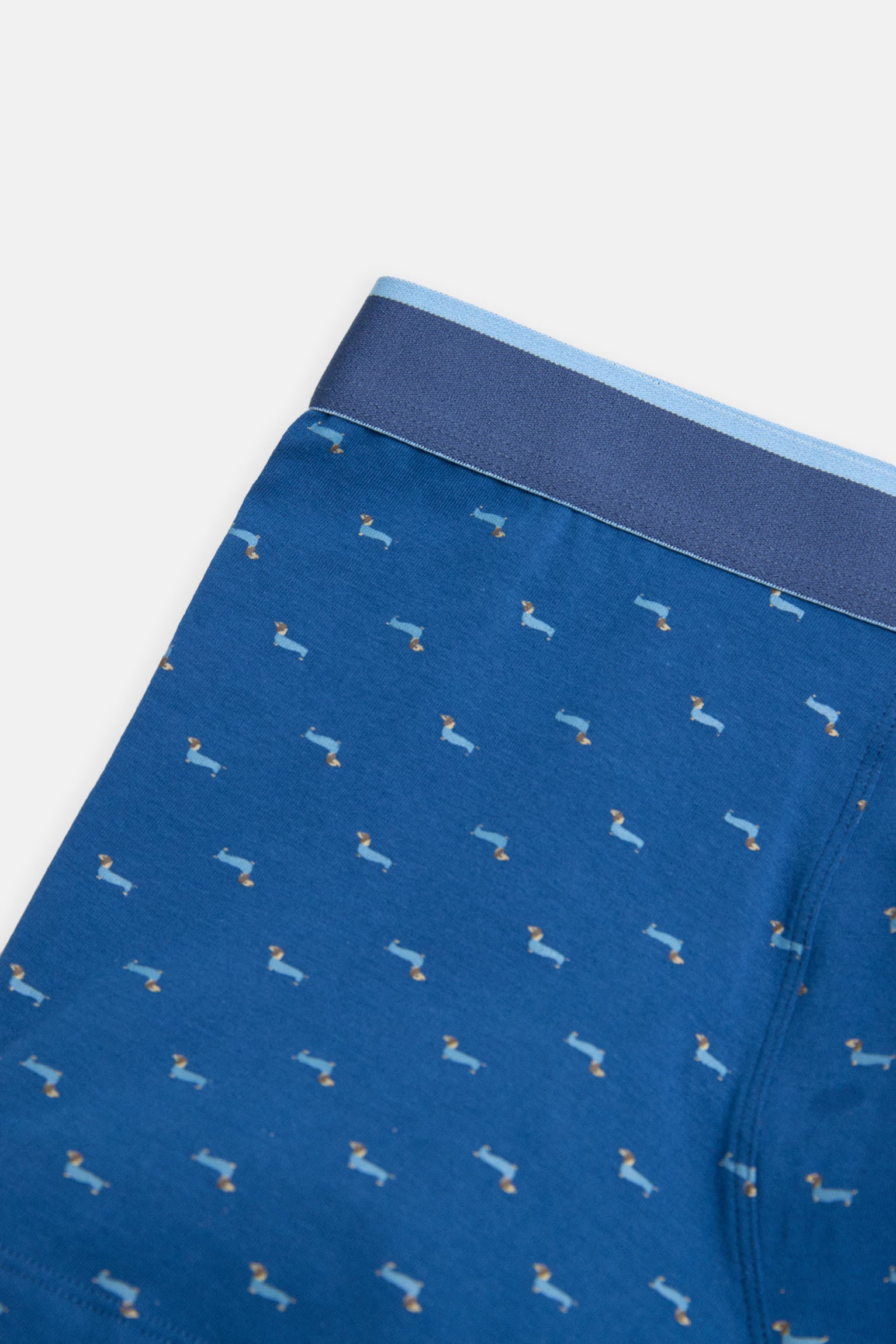 Dachshund printed boxer and sock pack