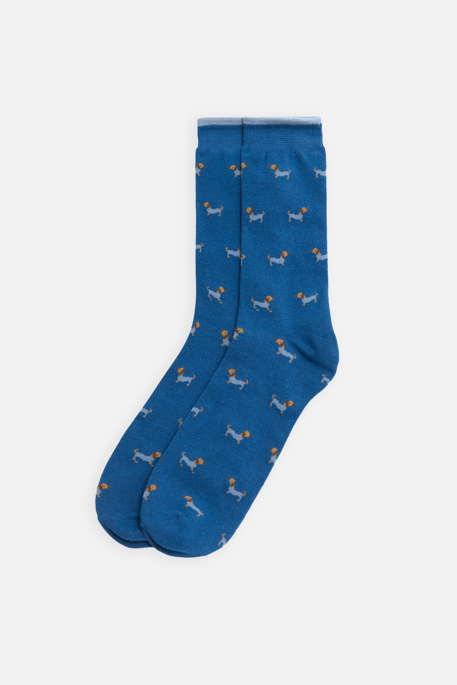 Dachshund printed boxer and sock pack