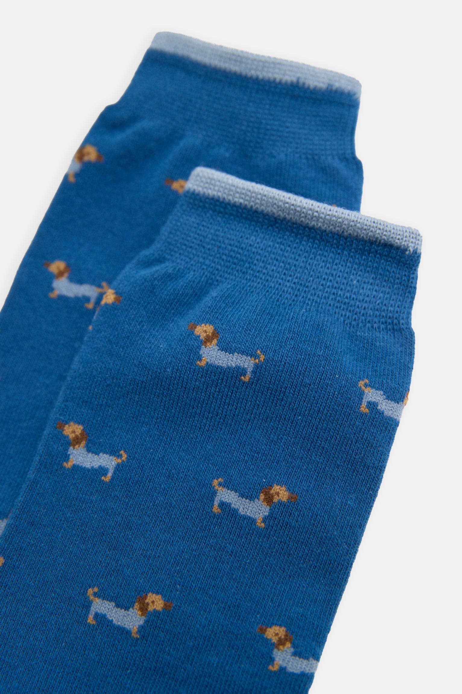 Dachshund printed boxer and sock pack