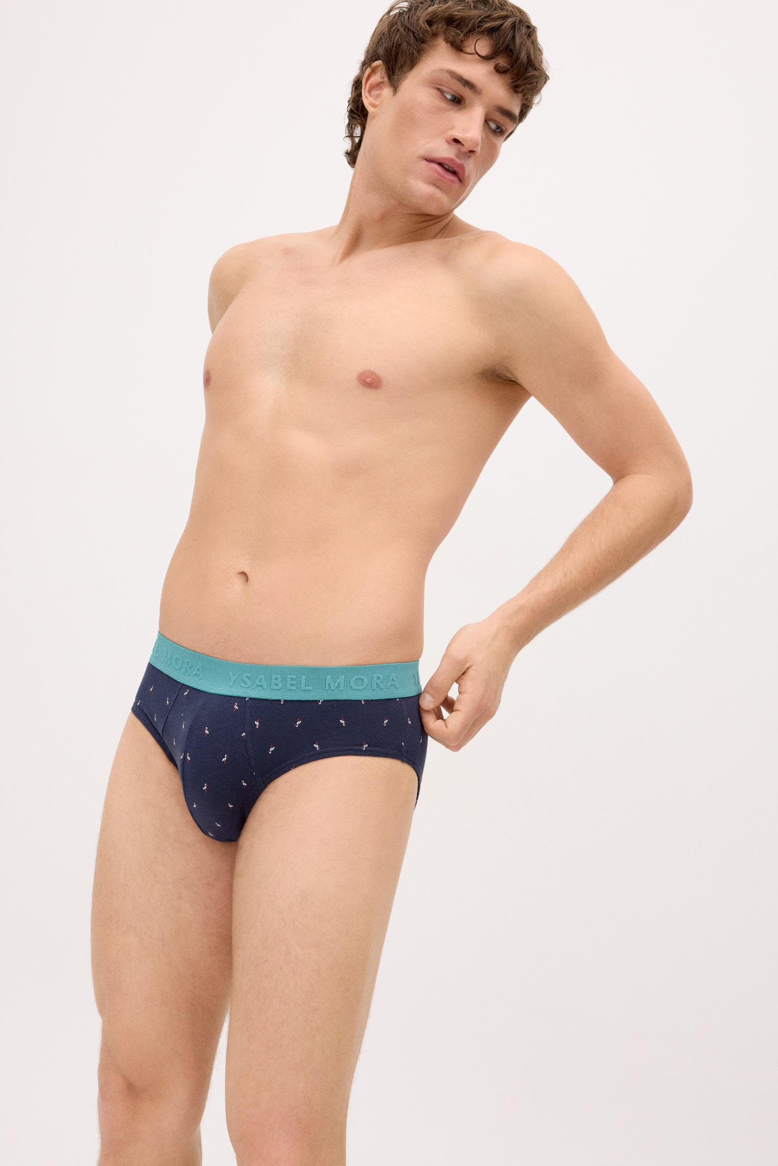 Pack of 6 animal print briefs