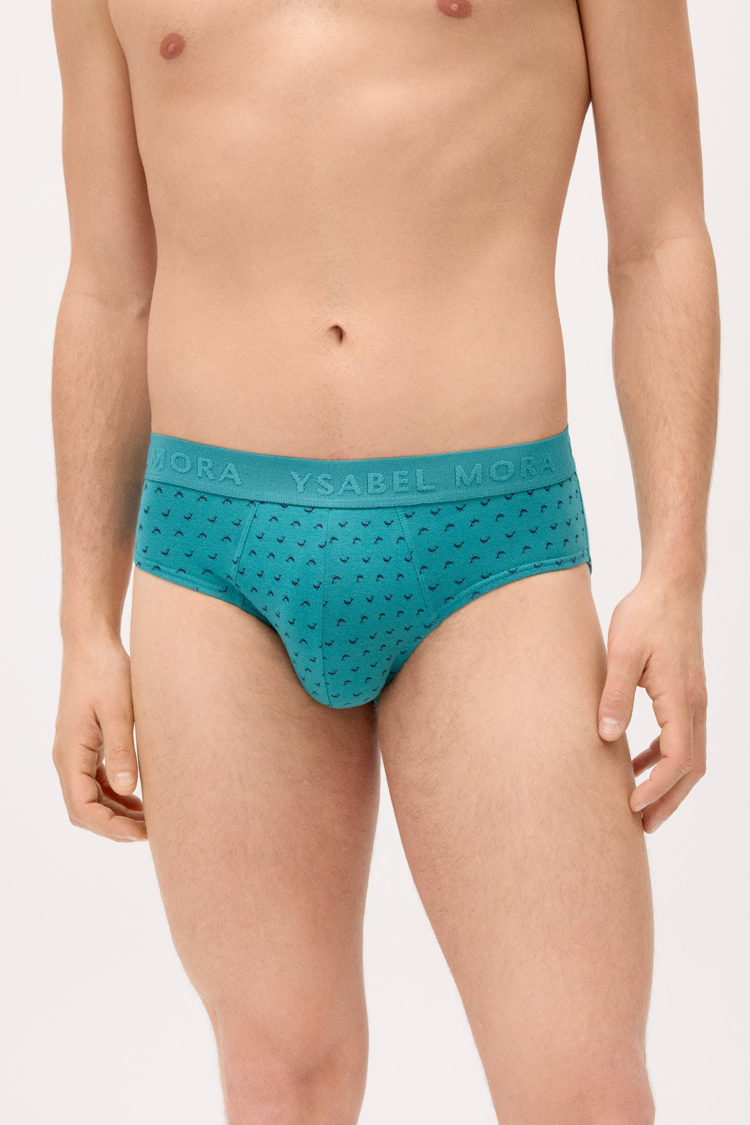 Pack of 6 animal print briefs