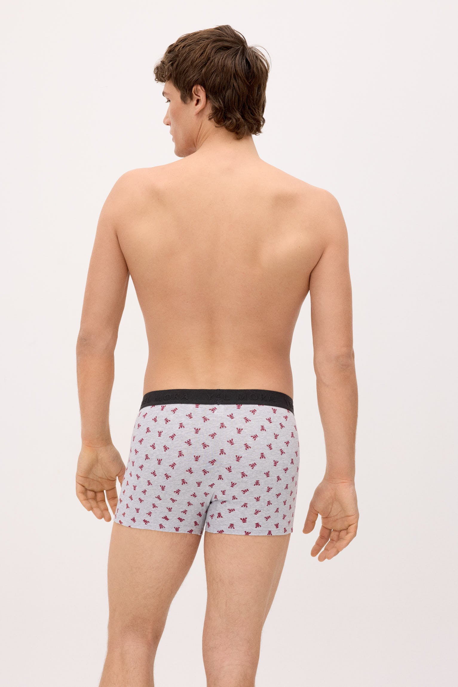 Pack of 6 animal print boxers