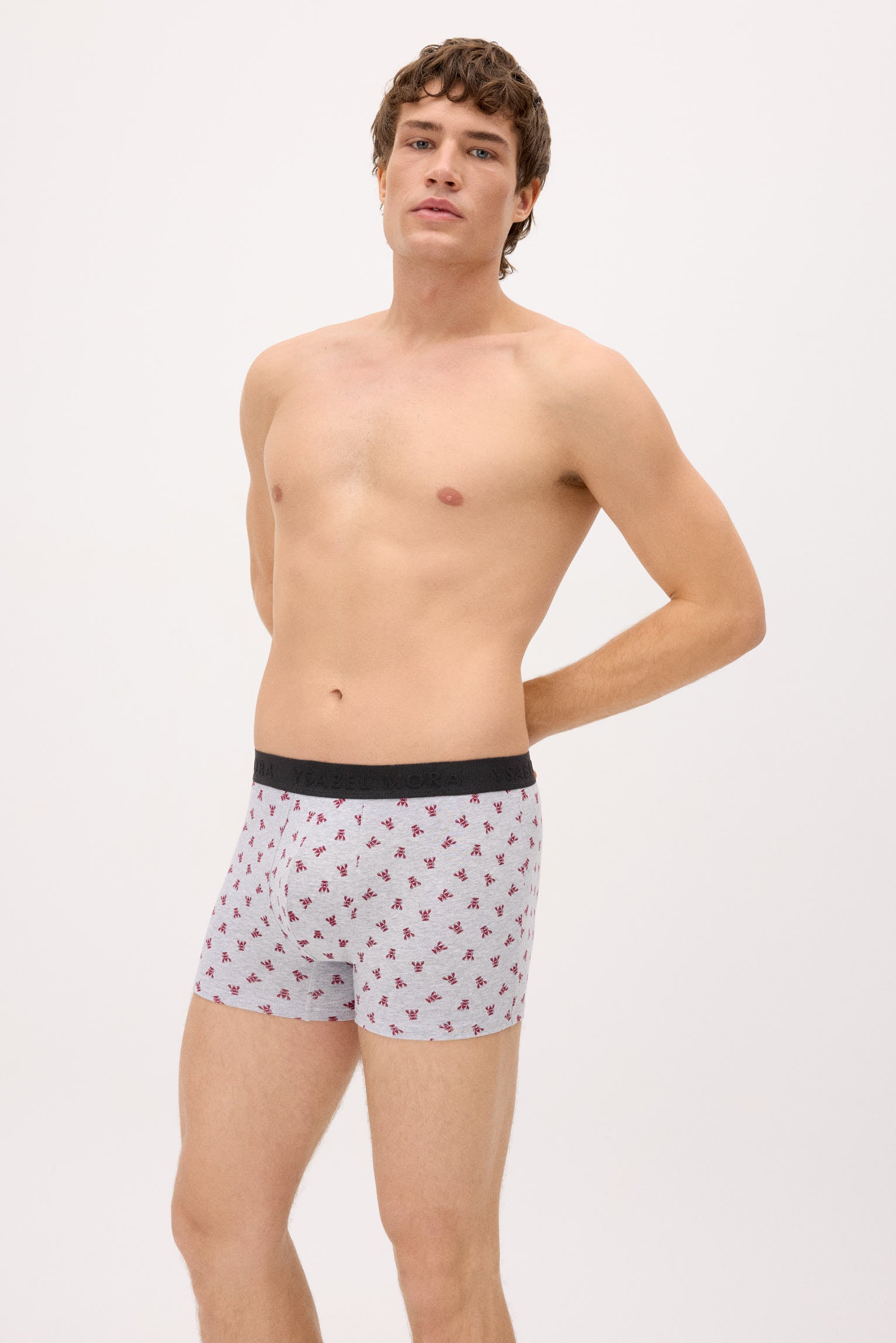 Pack of 6 animal print boxers