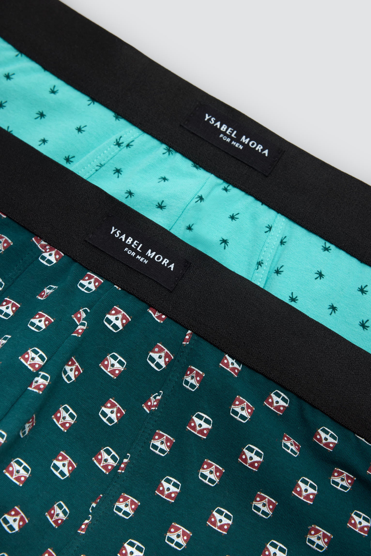 Pack of 2 boxer shorts with assorted prints: caravan and palm tree
