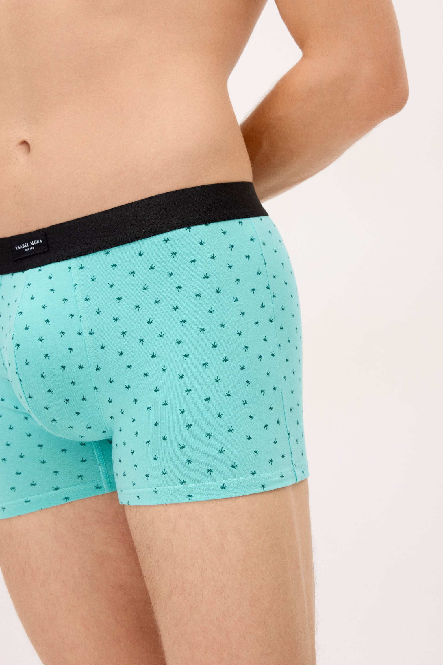 Pack of 2 boxer shorts with assorted prints: caravan and palm tree