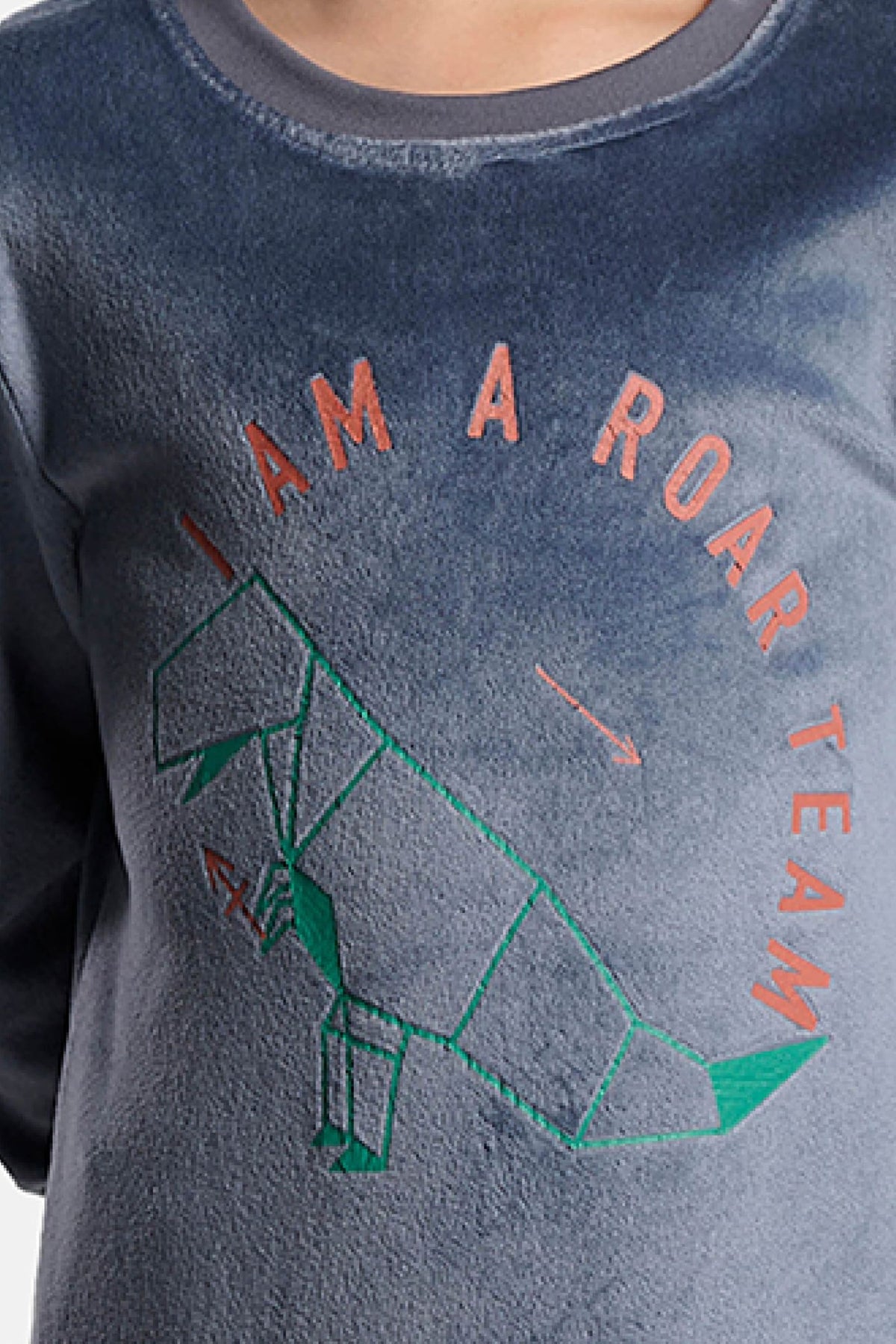 Boys' long velvet dinosaur-print I am a roar team pyjamas