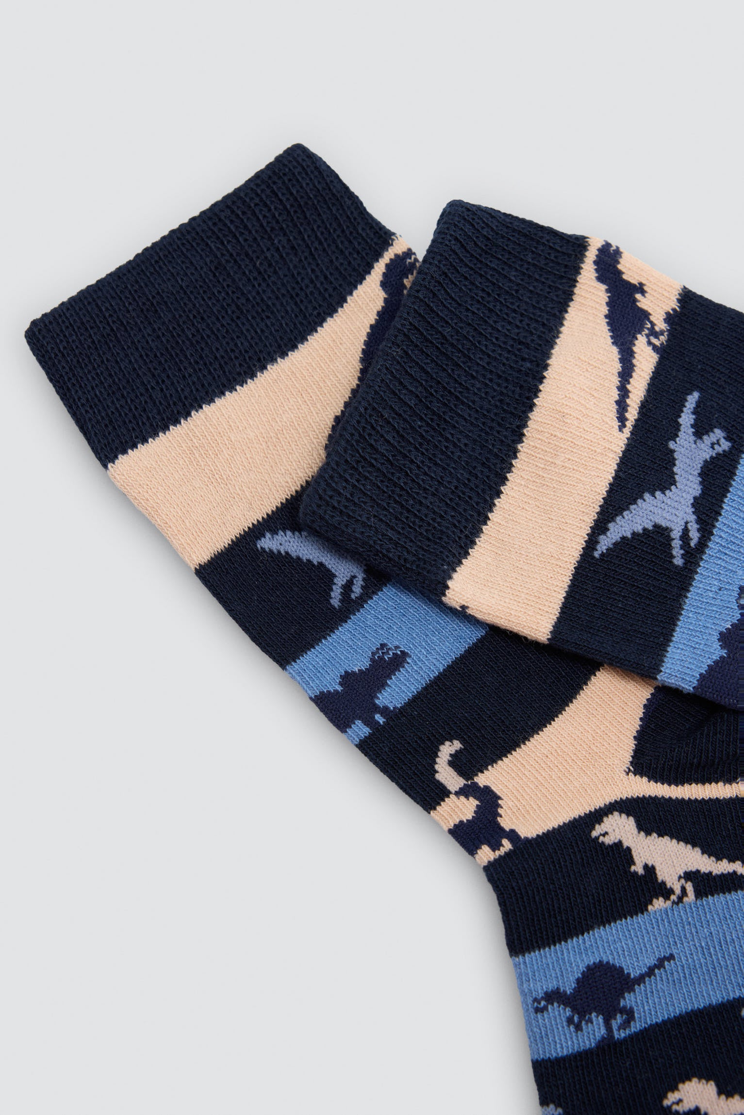 Pack of 4 dinosaur-print socks