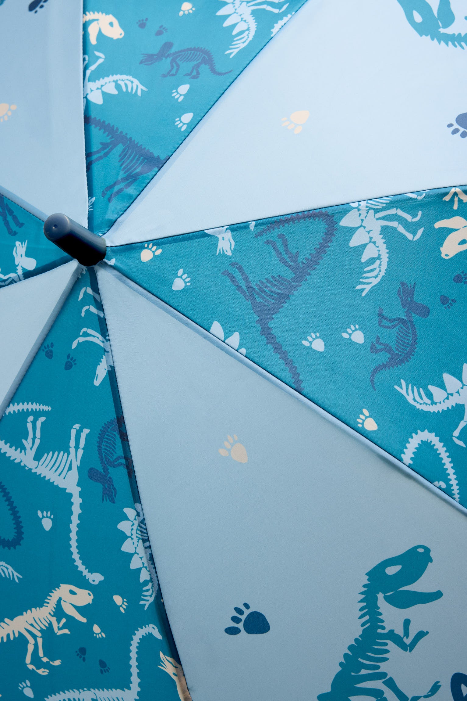 Boys' Rooar monster-print umbrella