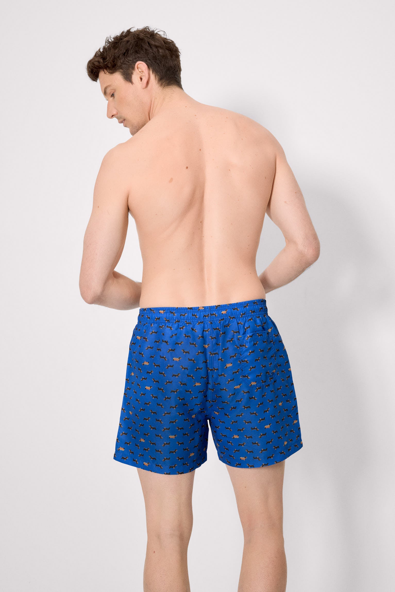 Blue dachshund print half swimsuit