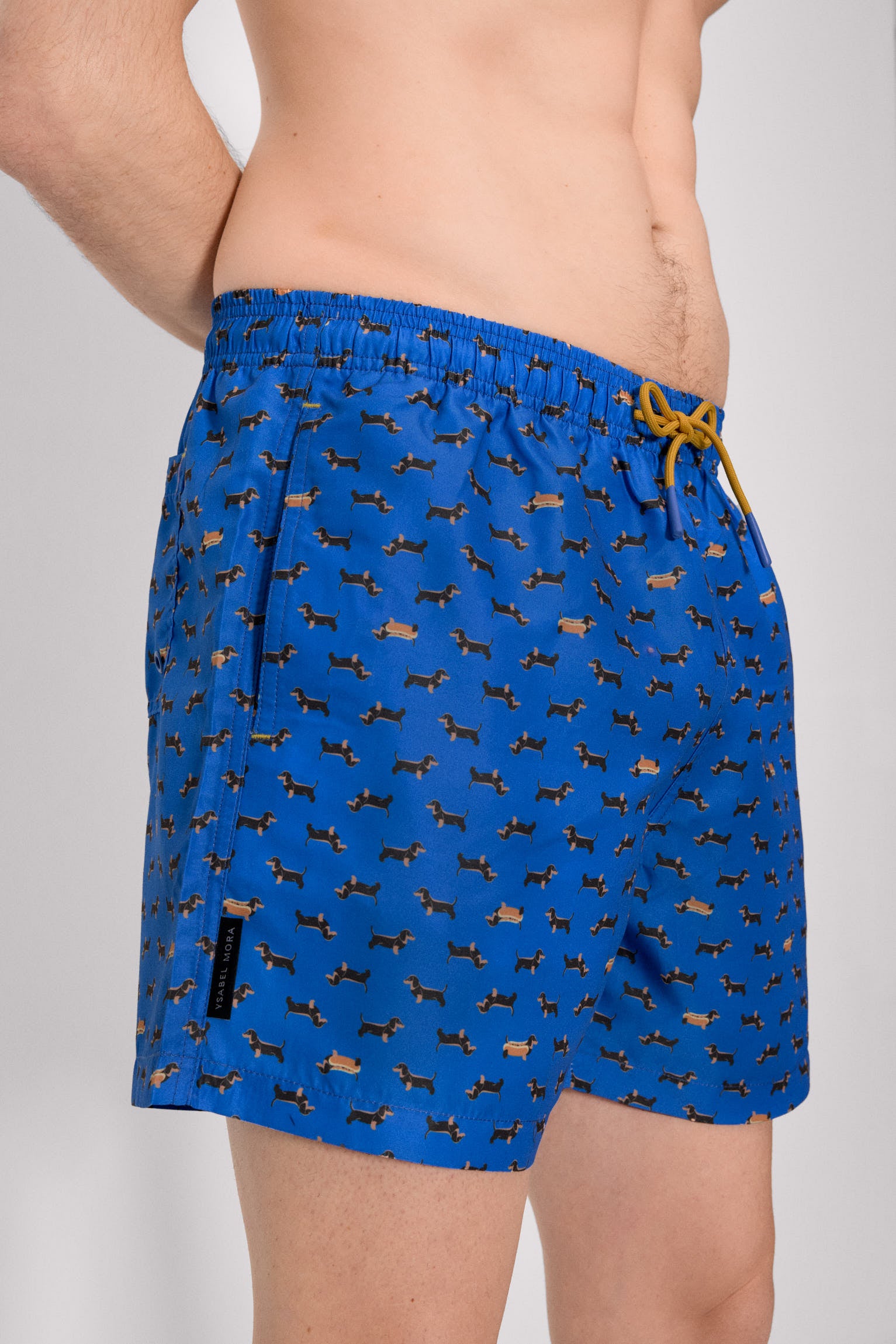 Blue dachshund print half swimsuit