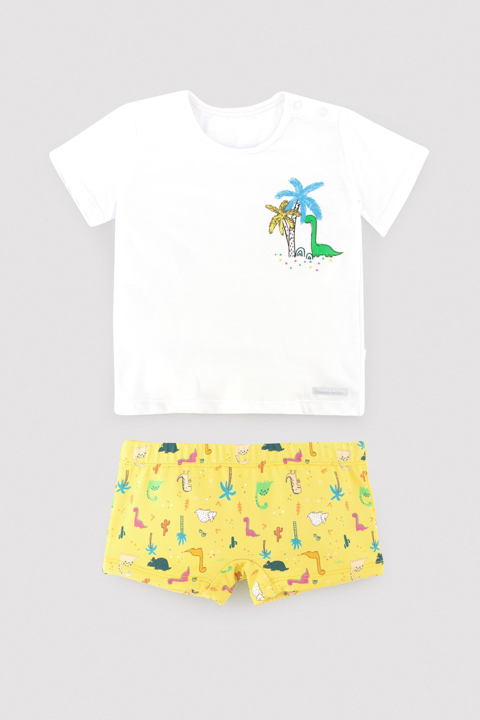 Baby dinosaur print t-shirt and boxer shorts set