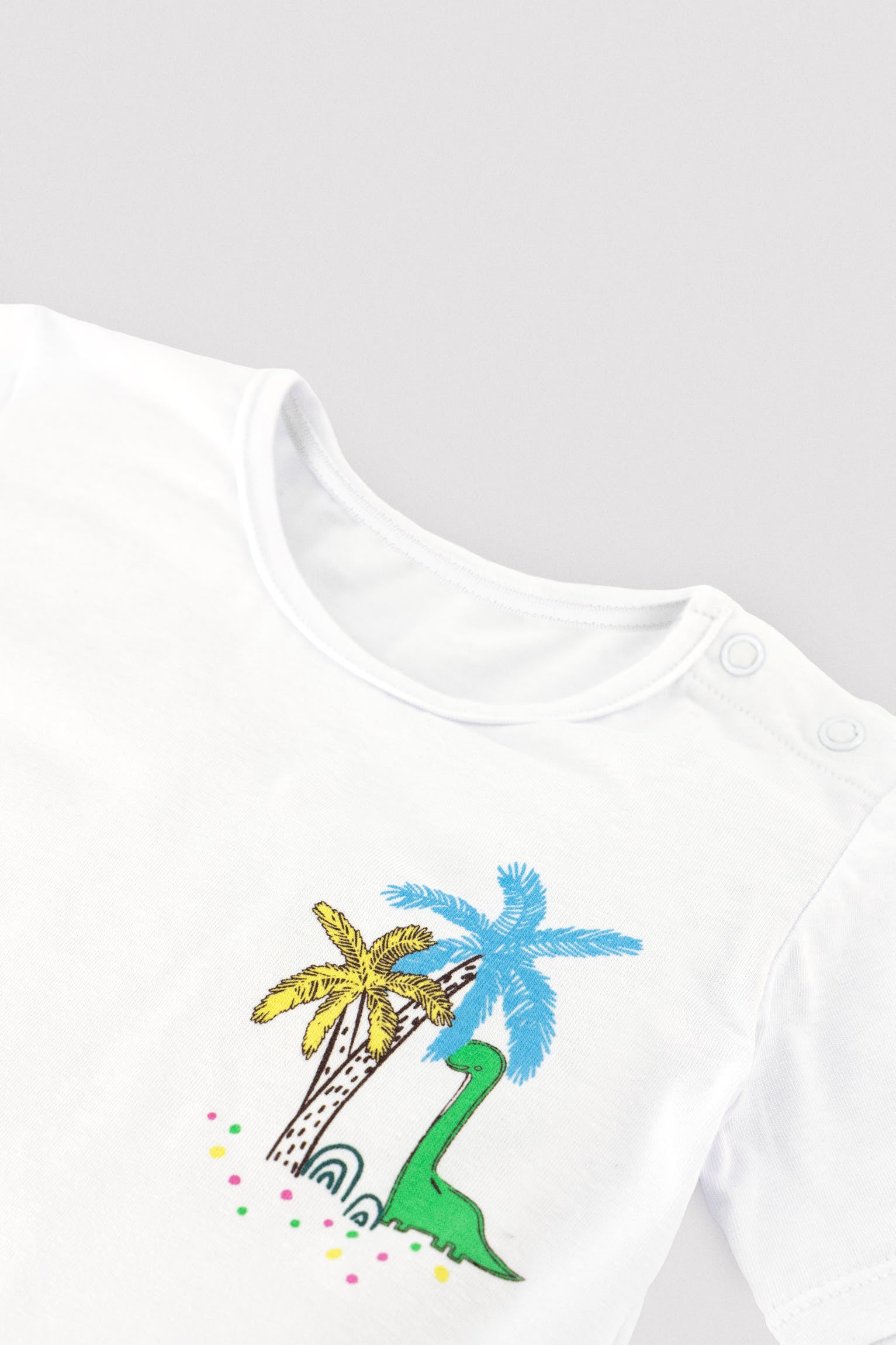 Baby dinosaur print t-shirt and boxer shorts set