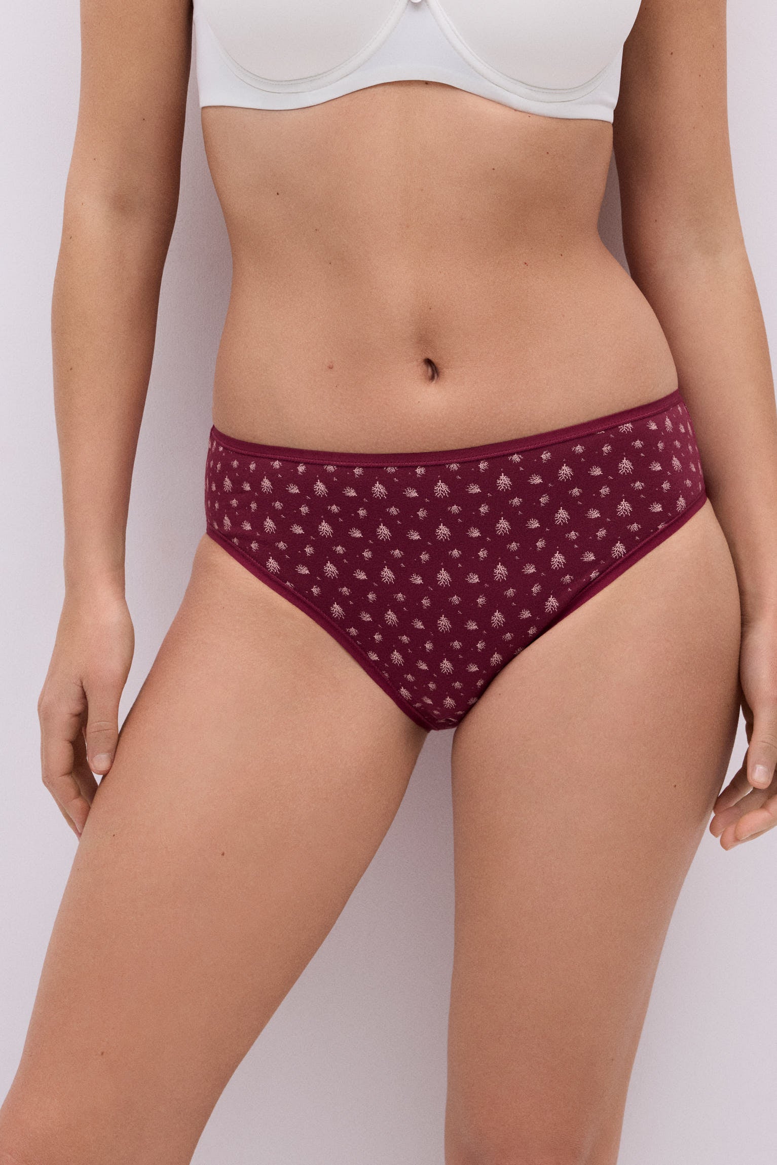 Pack of 6 summer printed cotton midi panties