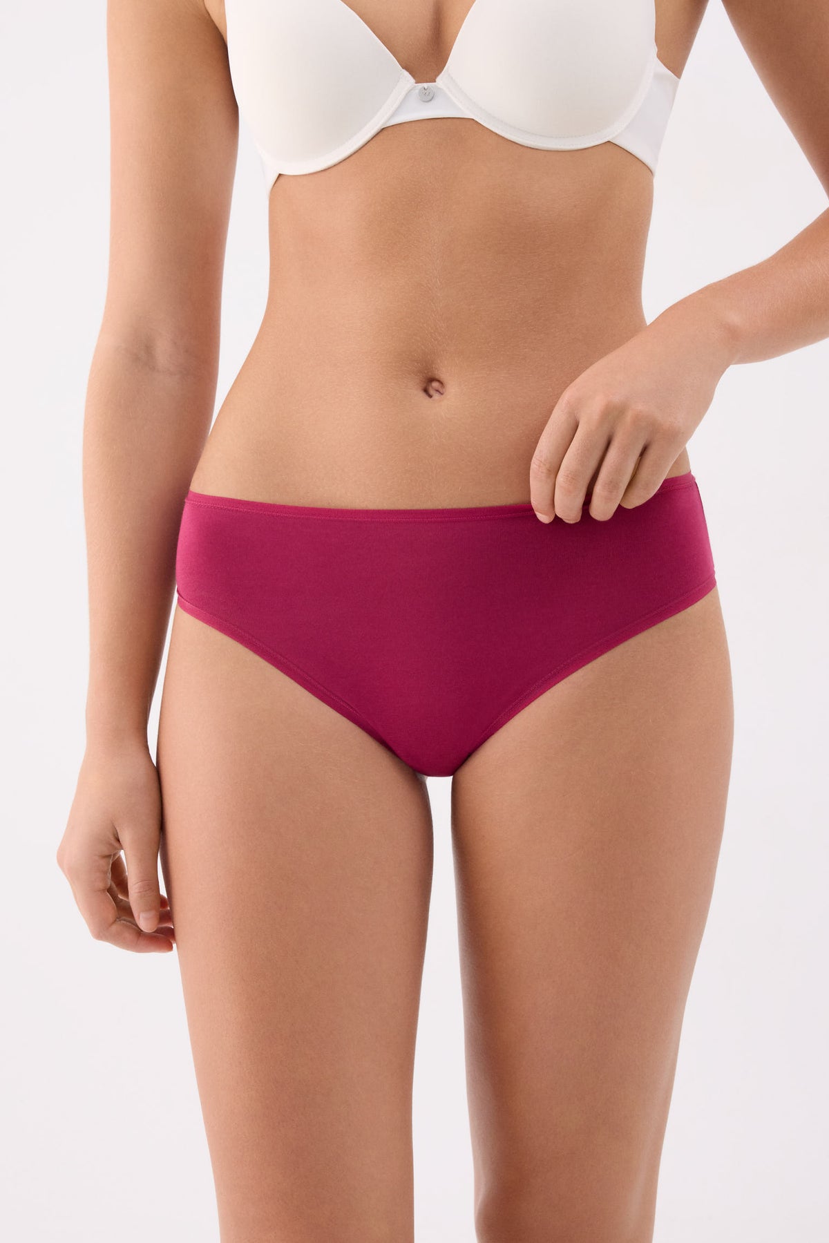 Pack of 4 basic cotton midi briefs in assorted colours