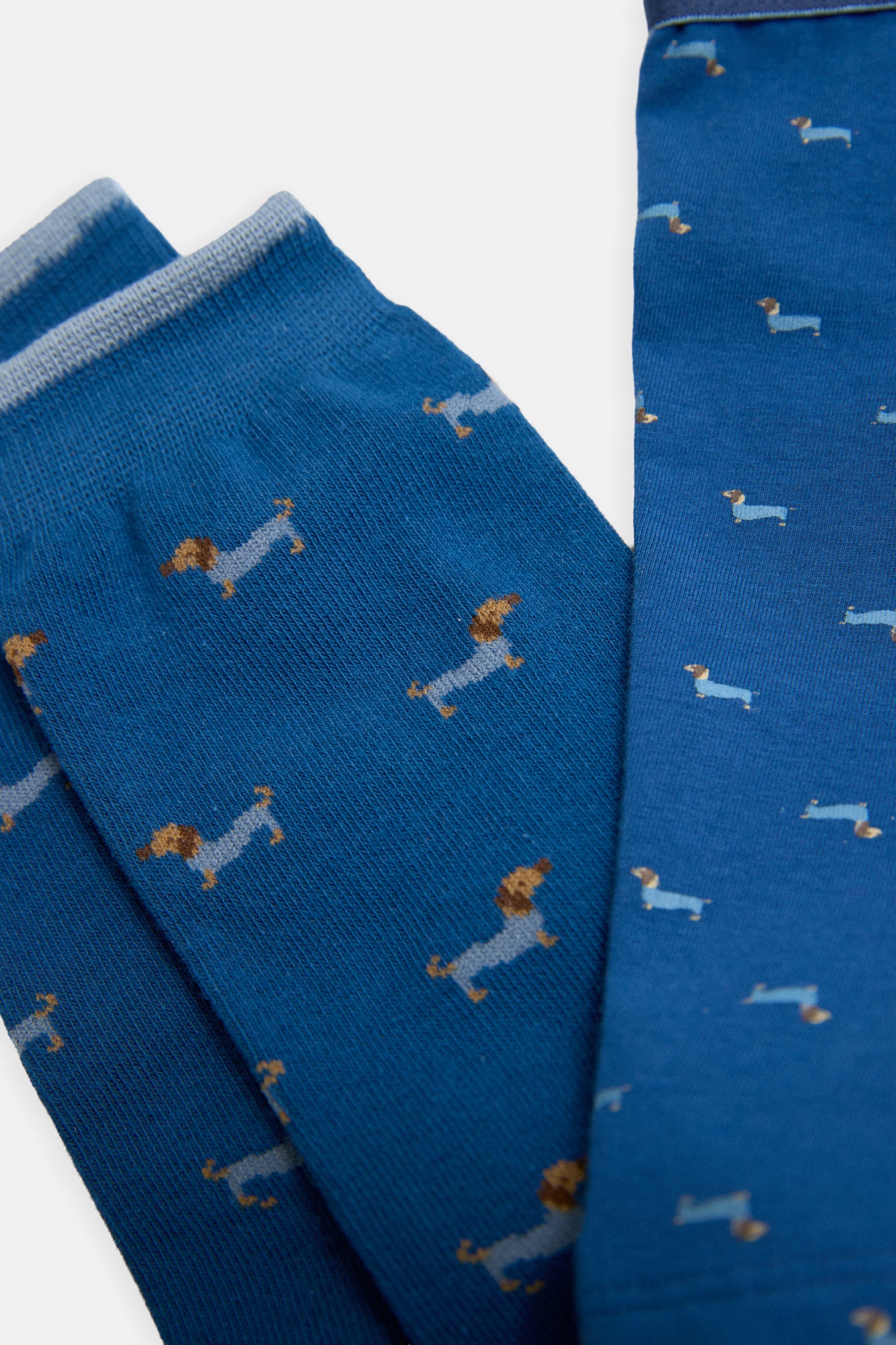 Dachshund printed boxer and sock pack