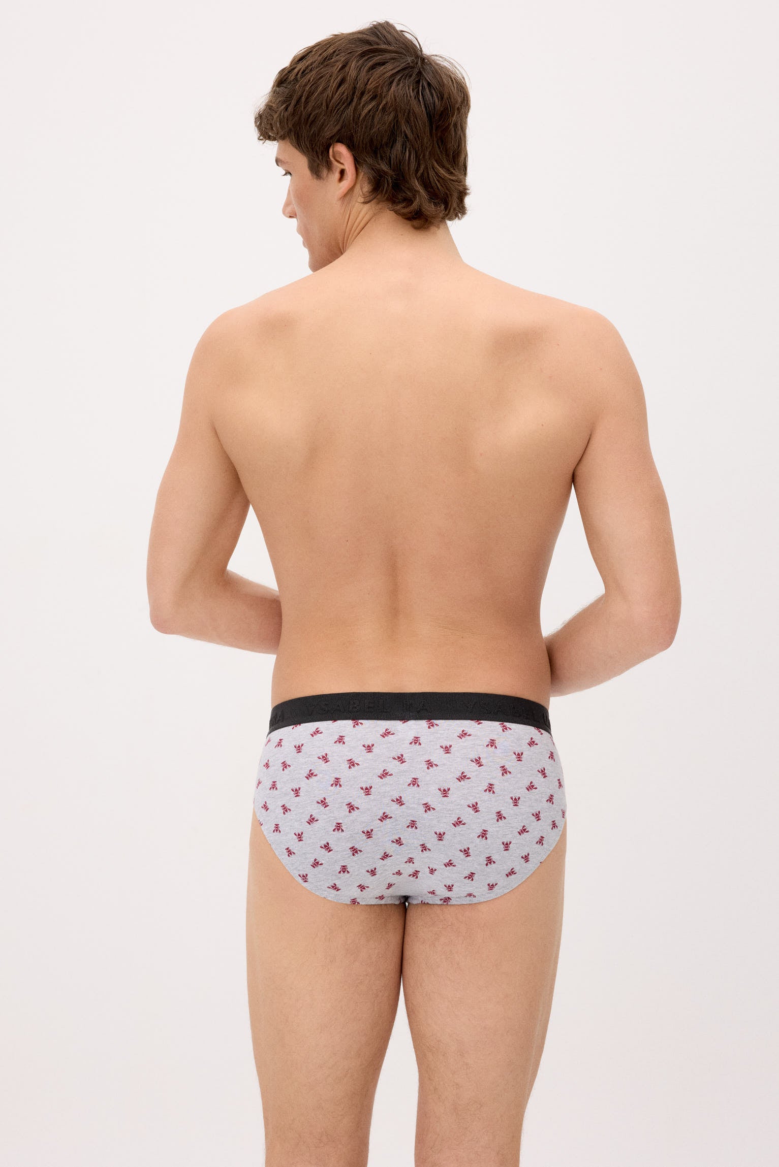 Pack of 6 animal print briefs