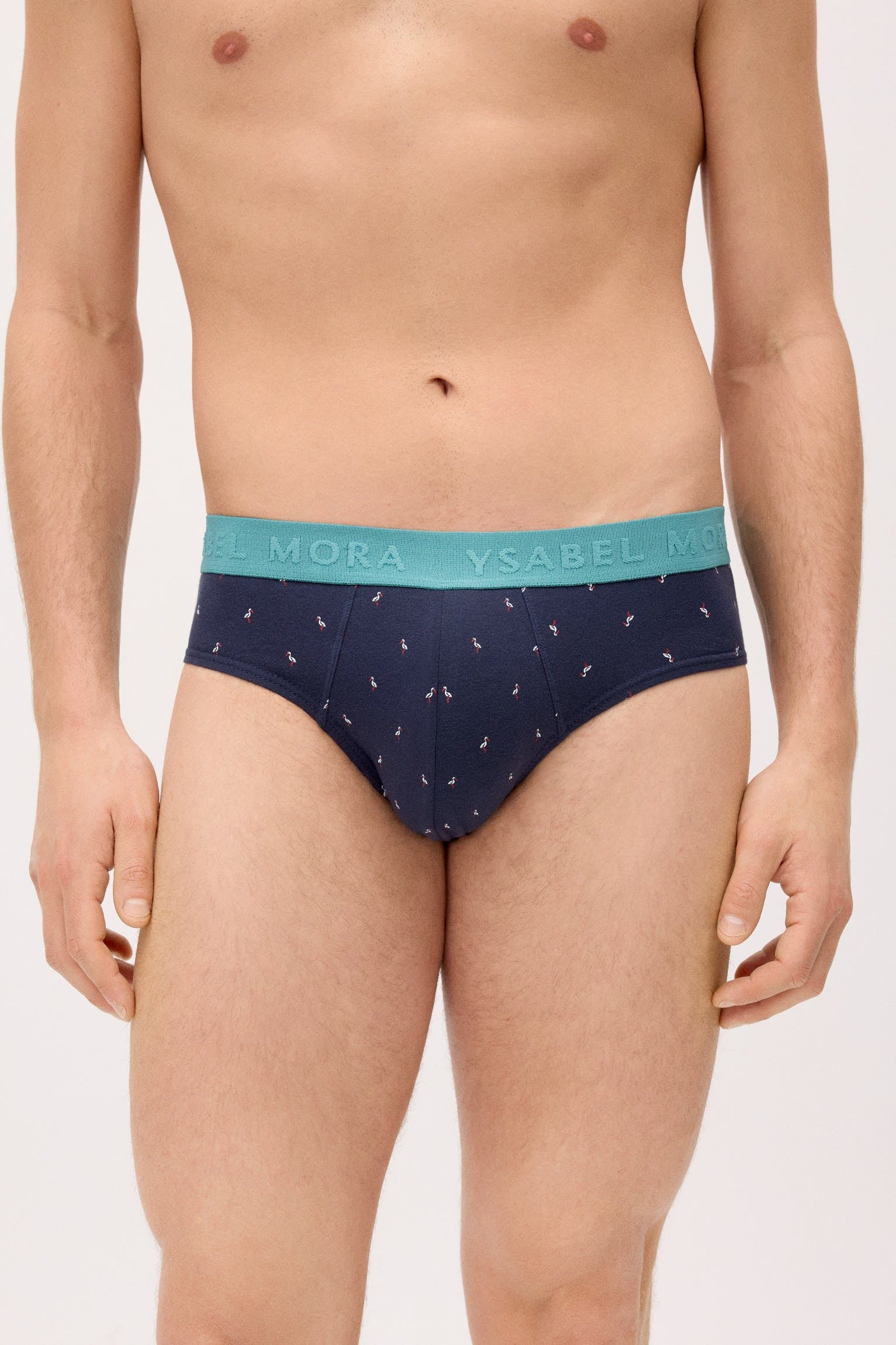 Pack of 6 animal print briefs