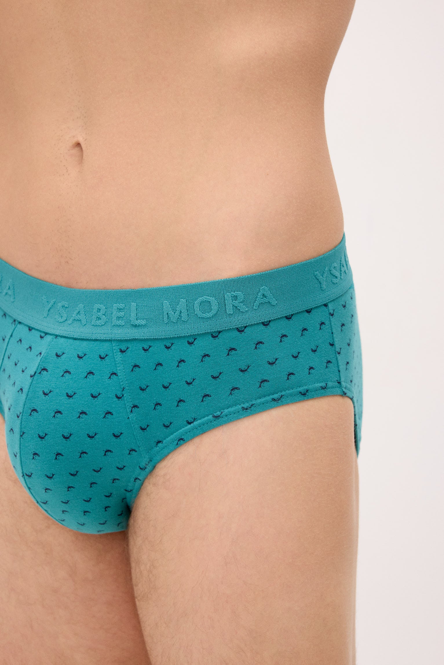 Pack of 6 animal print briefs