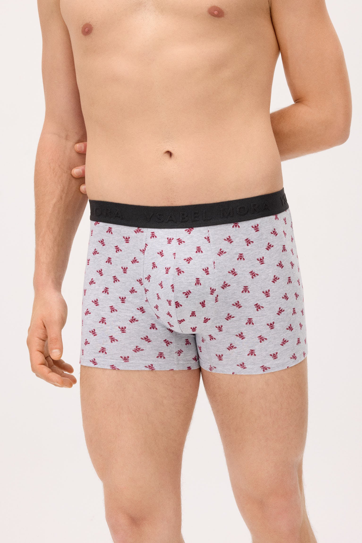 Pack of 6 animal print boxers