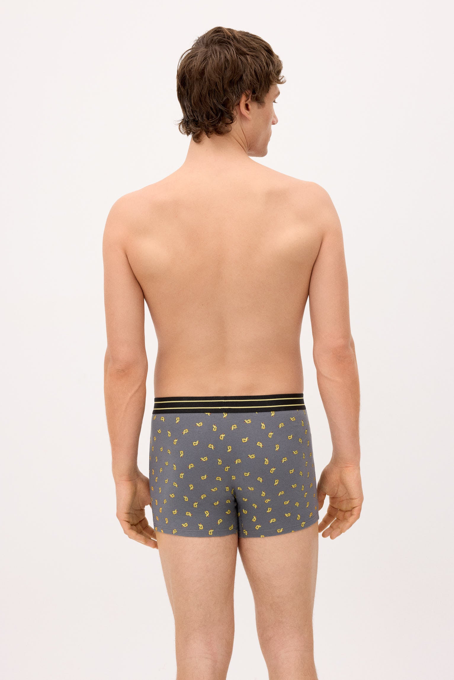 Pack of 2 diving print boxers