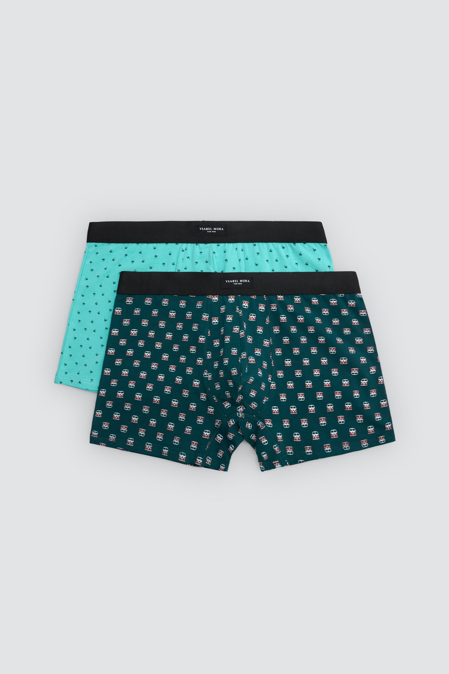 Pack of 2 boxer shorts with assorted prints: caravan and palm tree
