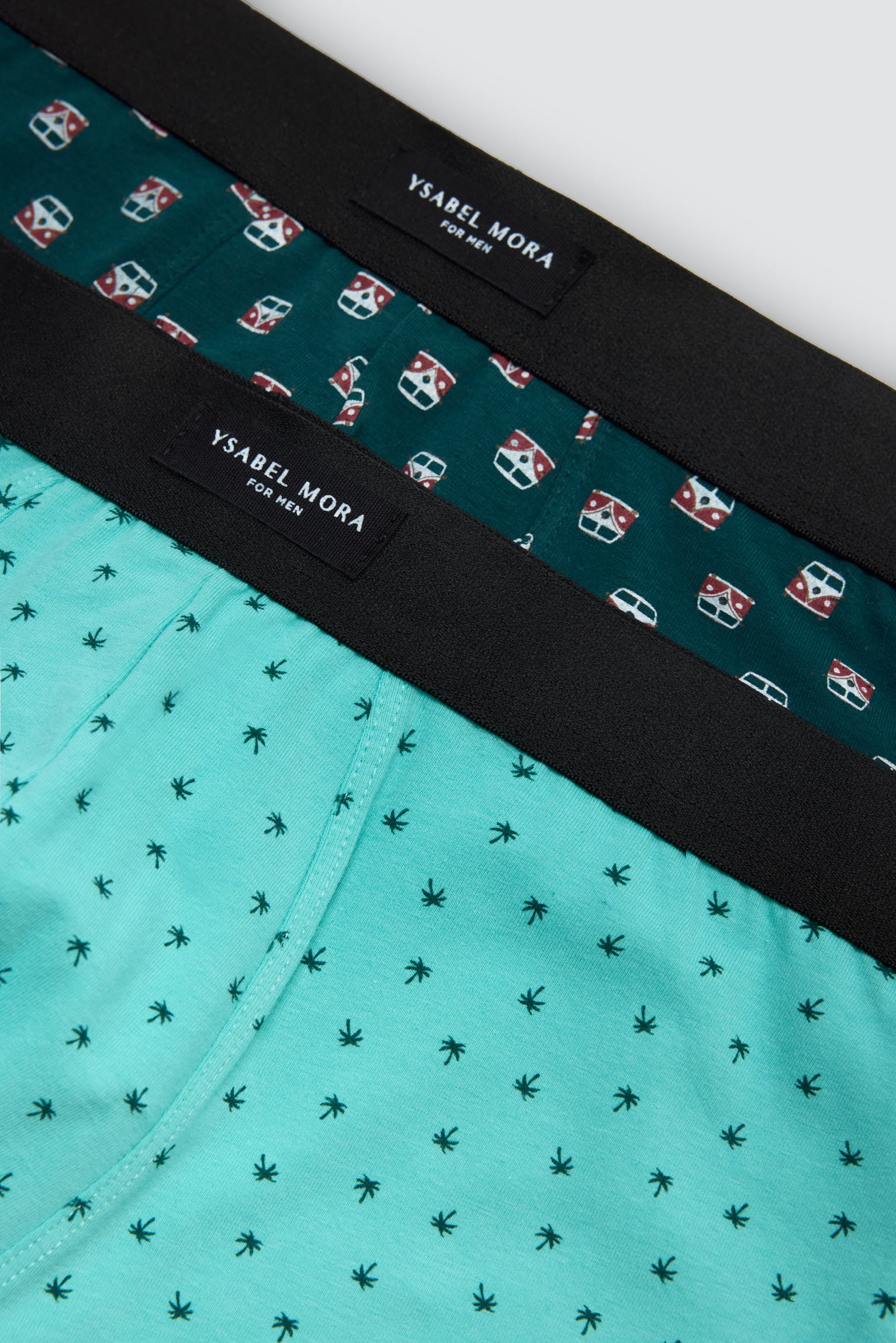 Pack of 2 boxer shorts with assorted prints: caravan and palm tree