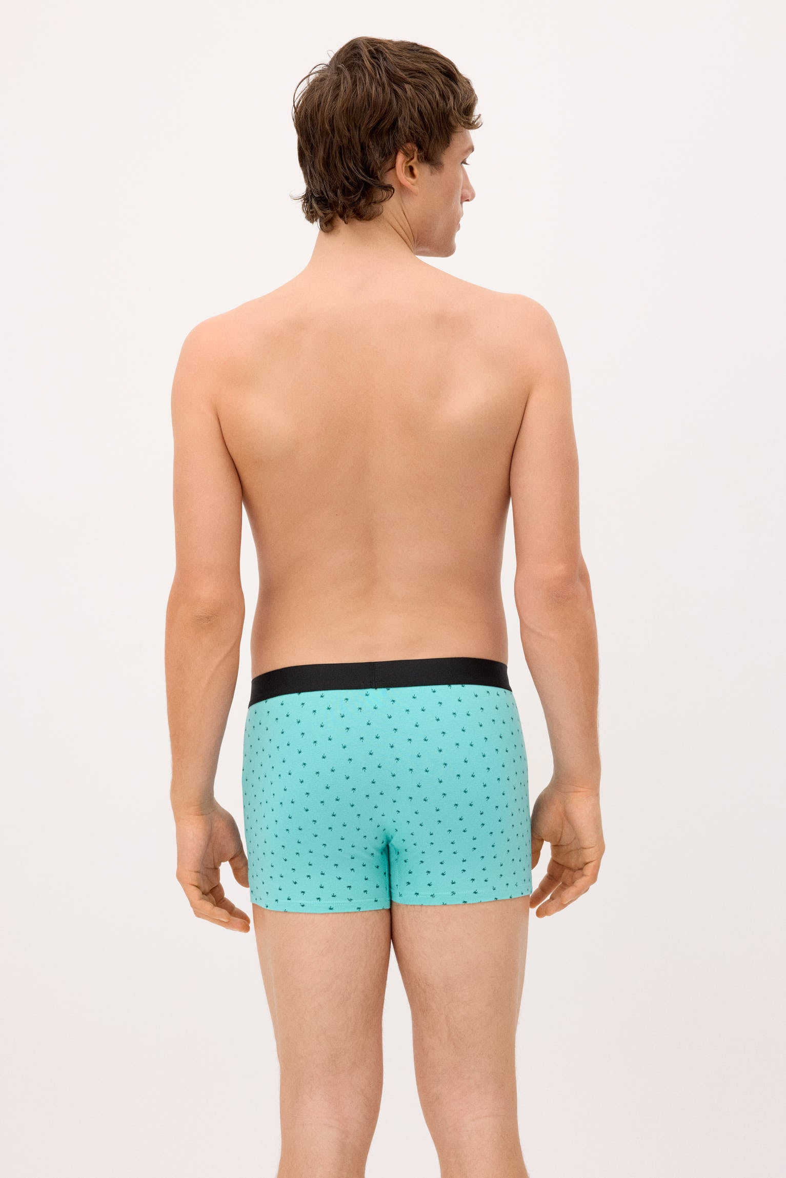 Pack of 2 boxer shorts with assorted prints: caravan and palm tree