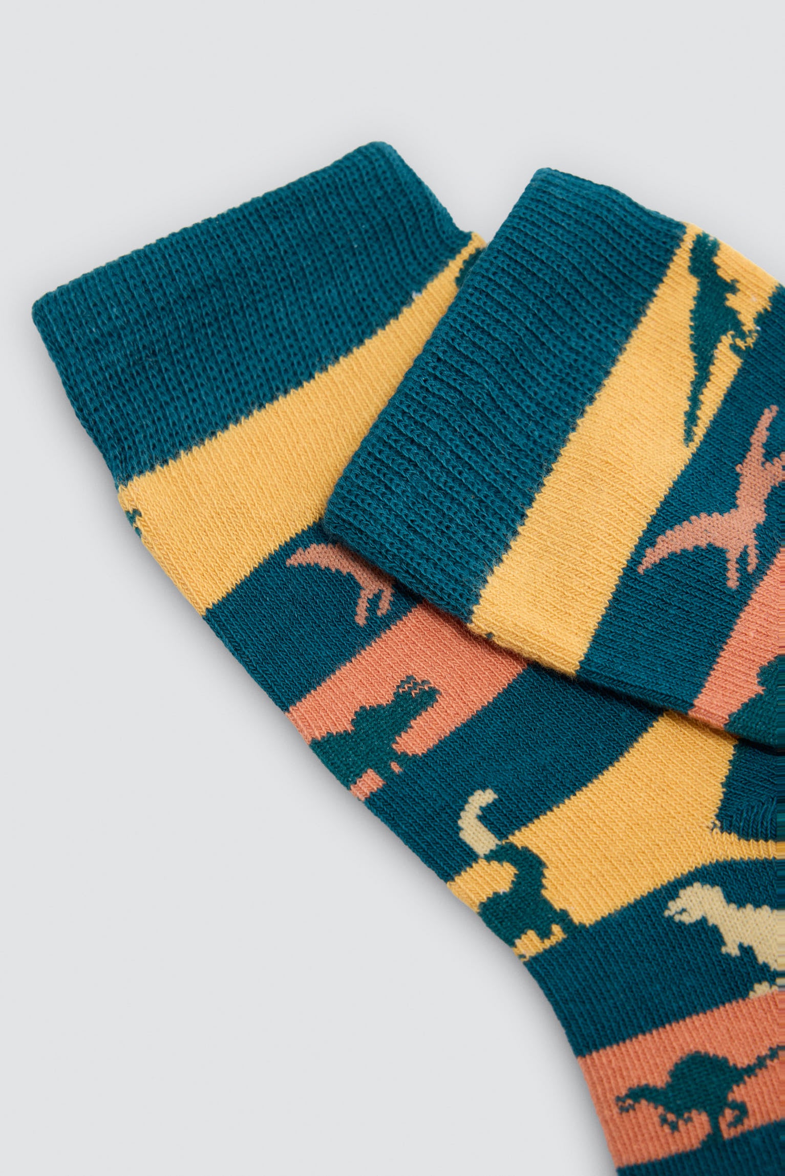 Pack of 4 dinosaur-print socks