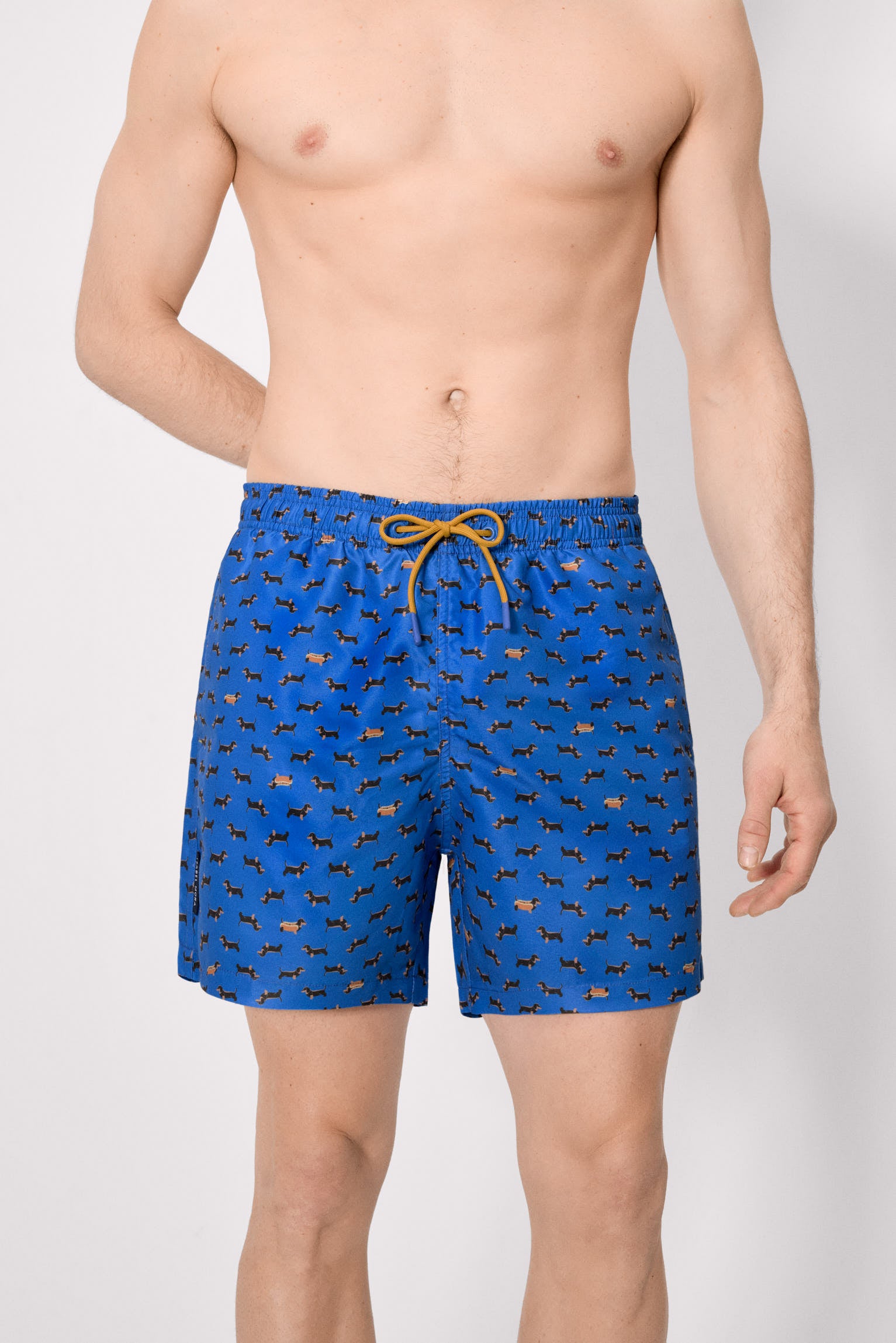 Long swimsuit with blue dachshund print