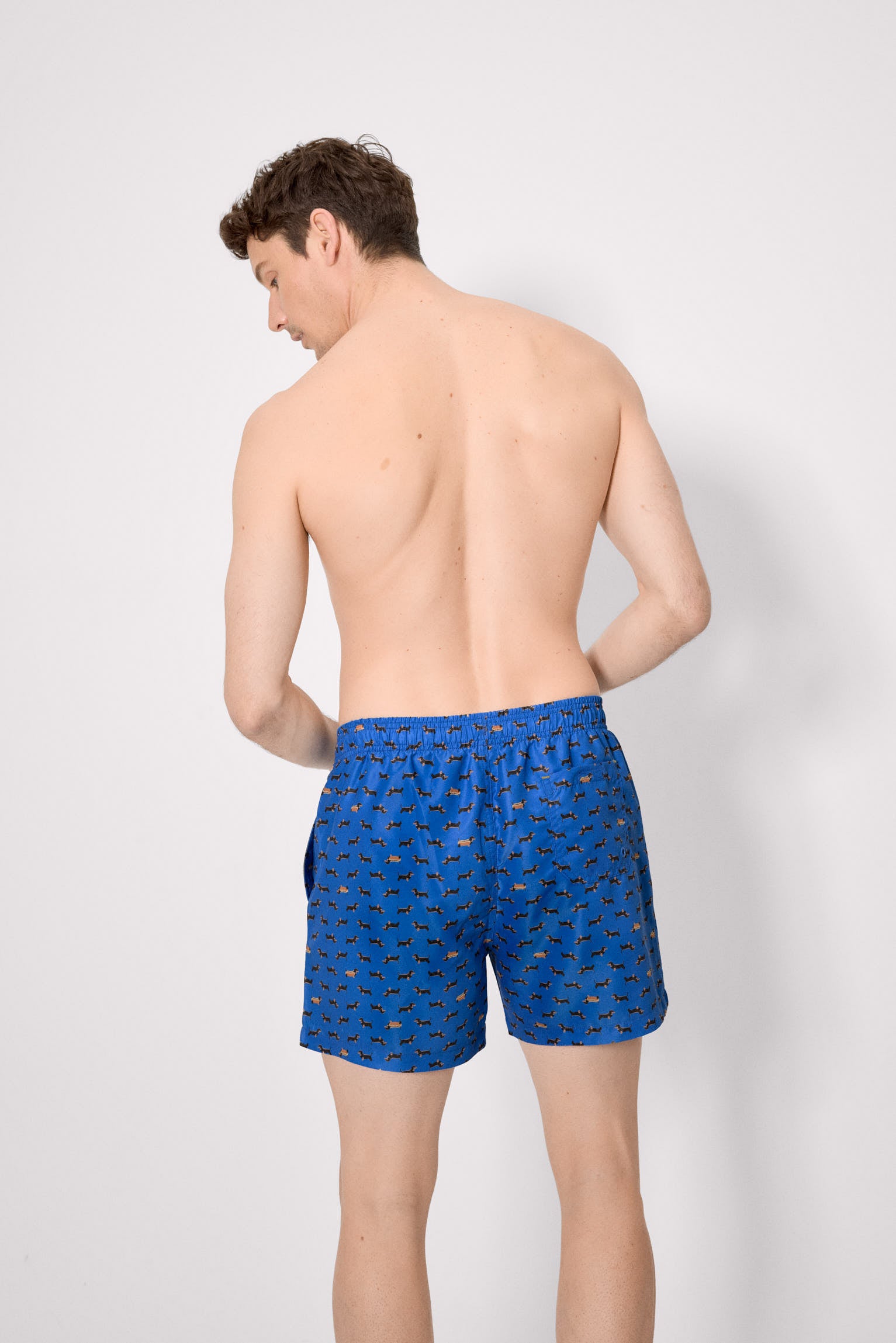 Long swimsuit with blue dachshund print