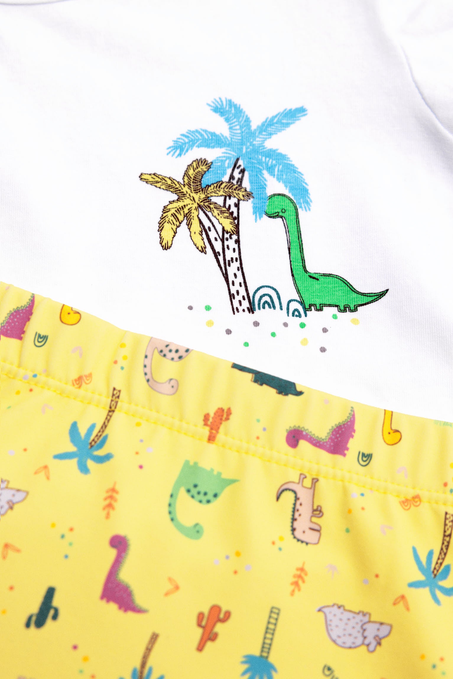 Baby dinosaur print t-shirt and boxer shorts set