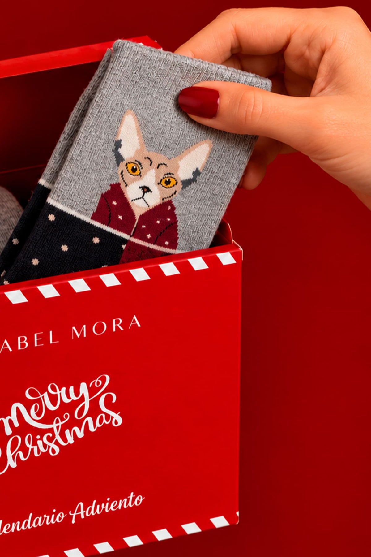 PRE-SALE Essential 12-Day Advent Calendar for Men