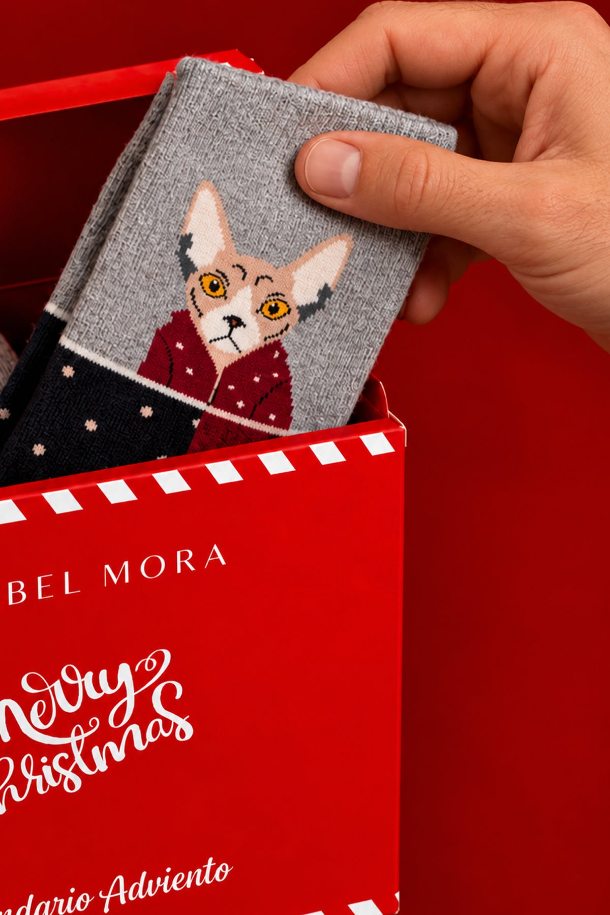 PRE-SALE Essential 12-Day Advent Calendar for Men